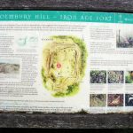 2016-07-Holmbury-Hill-Walk04